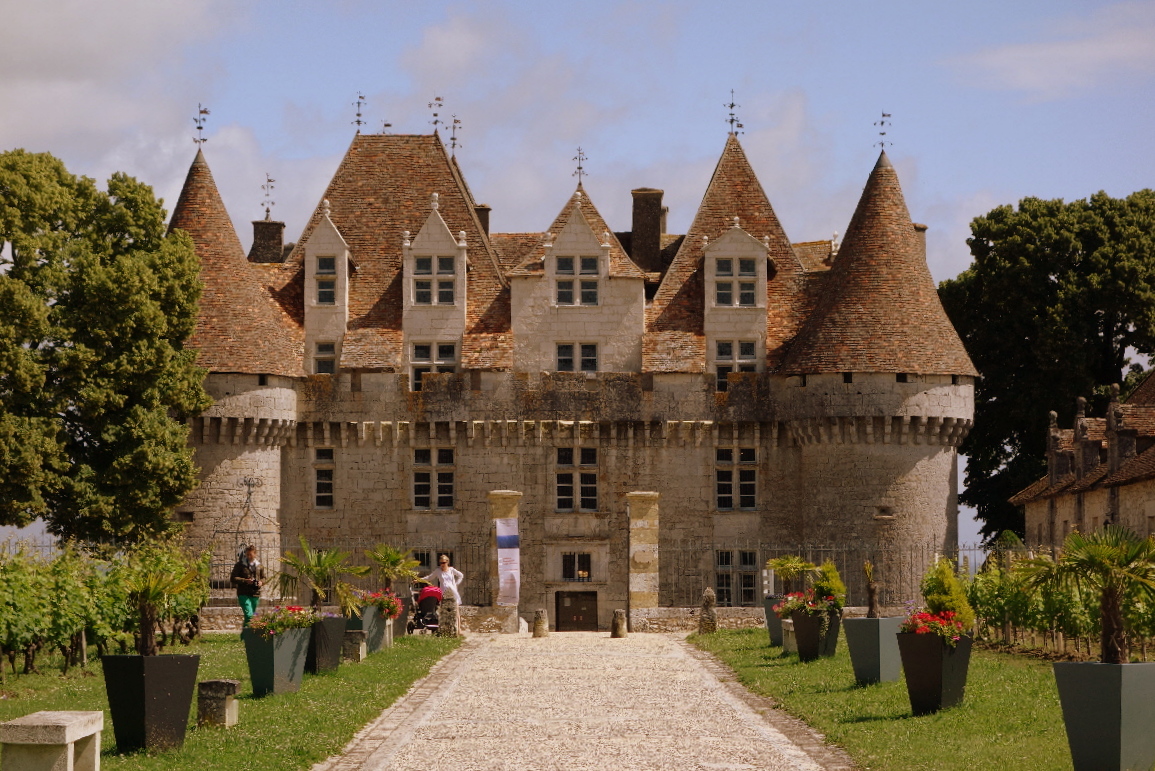 chateau for sale in dordogne